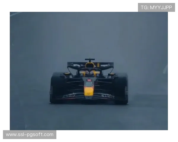 巴西大奖赛前瞻：诺里斯1分领跑积分榜，维斯塔潘期待雨战逆袭